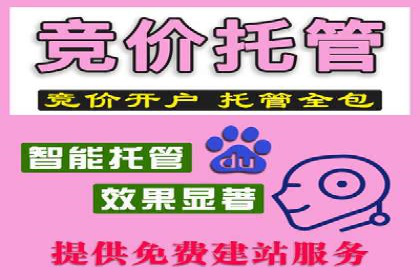 某企业信息流广告运营的ROI提升之路